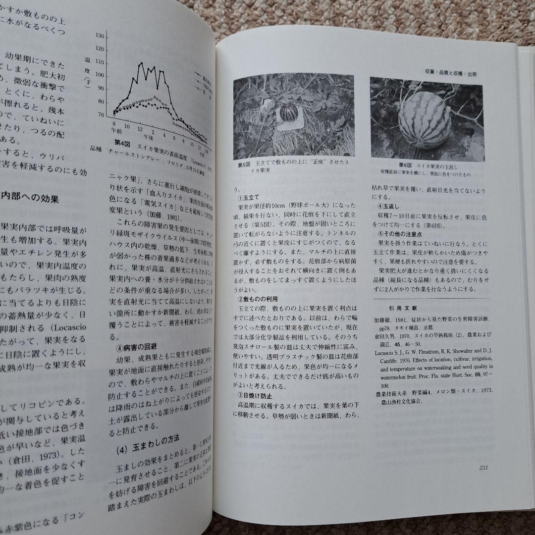 野菜園芸大百科　5　スイカ・カボチャ