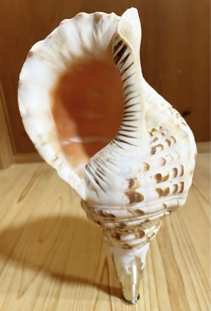 メンテナンス済み 津軽三味線 紅木 トチあり 東さわり 二本溝 正