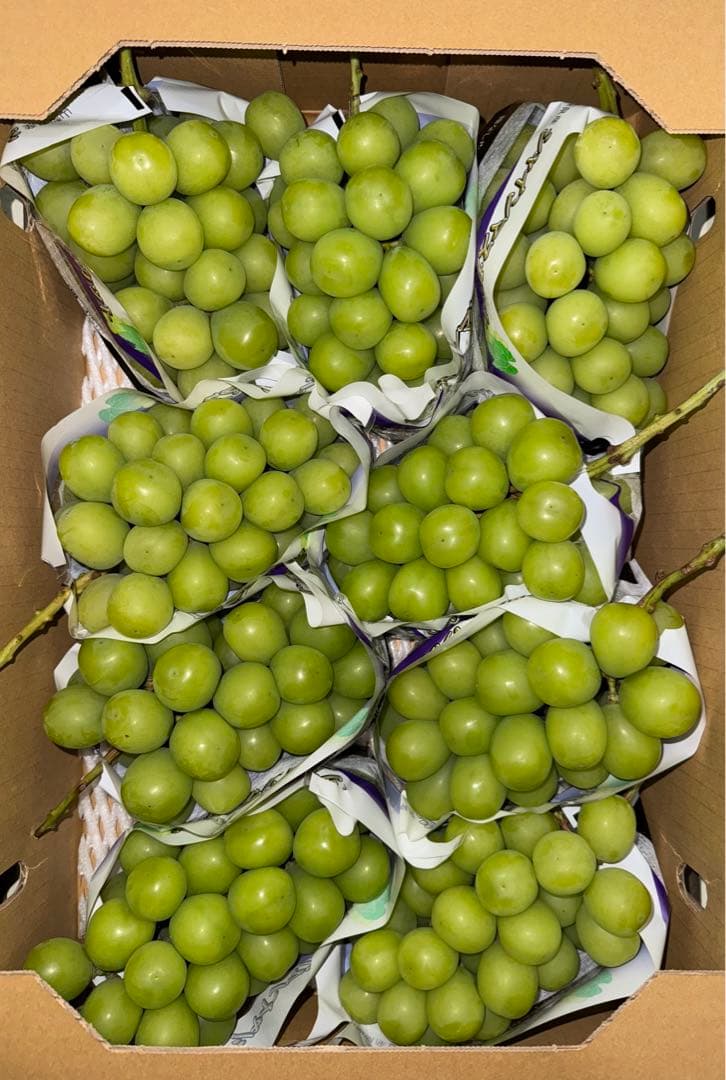 山梨県産ぶどう⭐️シャインマスカット⭐️JA共選品⭐️9房入り箱込み約5.6キロ