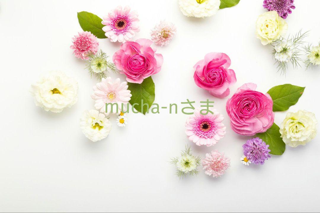 ❀ご購入前にコメントお願い致します❀　くるくる　アジサイ