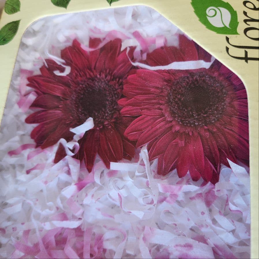 プリザーブドフラワー花材