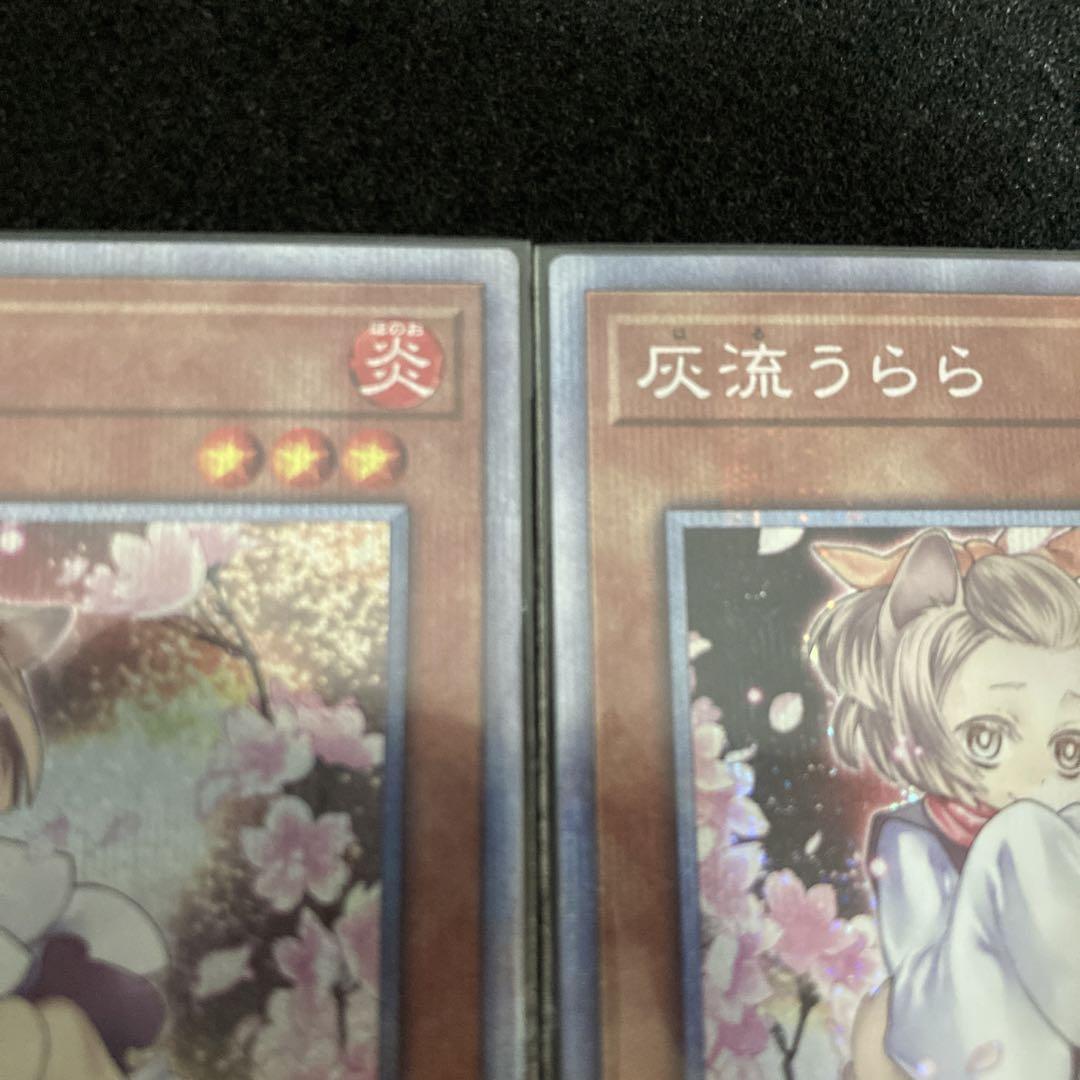 遊戯王　絵違い　灰流うらら　プリズマ　3枚セット 遊戯王 灰流うらら 絵違いプリシク3枚 PAC1-JP016