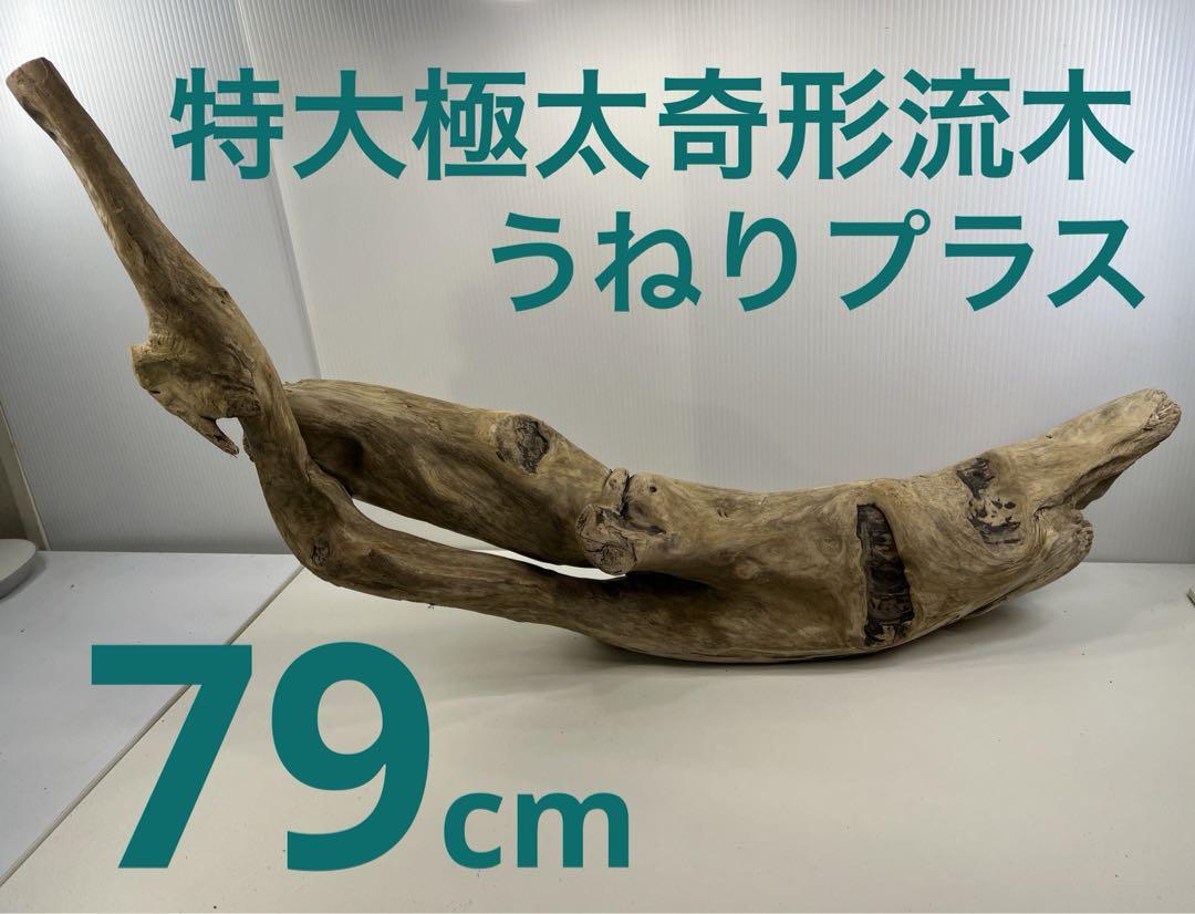 a6特大流木 大型流木 アク抜き済み 爬虫類シェルター 登り木 インテリア