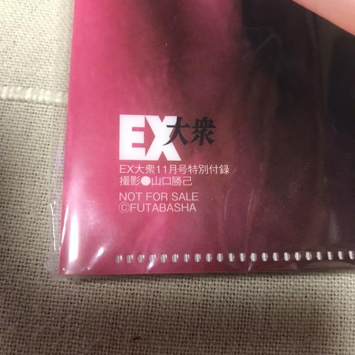 EX大衆 雑誌 付録 NMB48 山本彩 渋谷凪咲 クリアファイル ポスター - メルカリ EX大衆 雑誌 付録 NMB48 山本彩 渋谷凪咲 クリアファイル ポスター - メルカリ