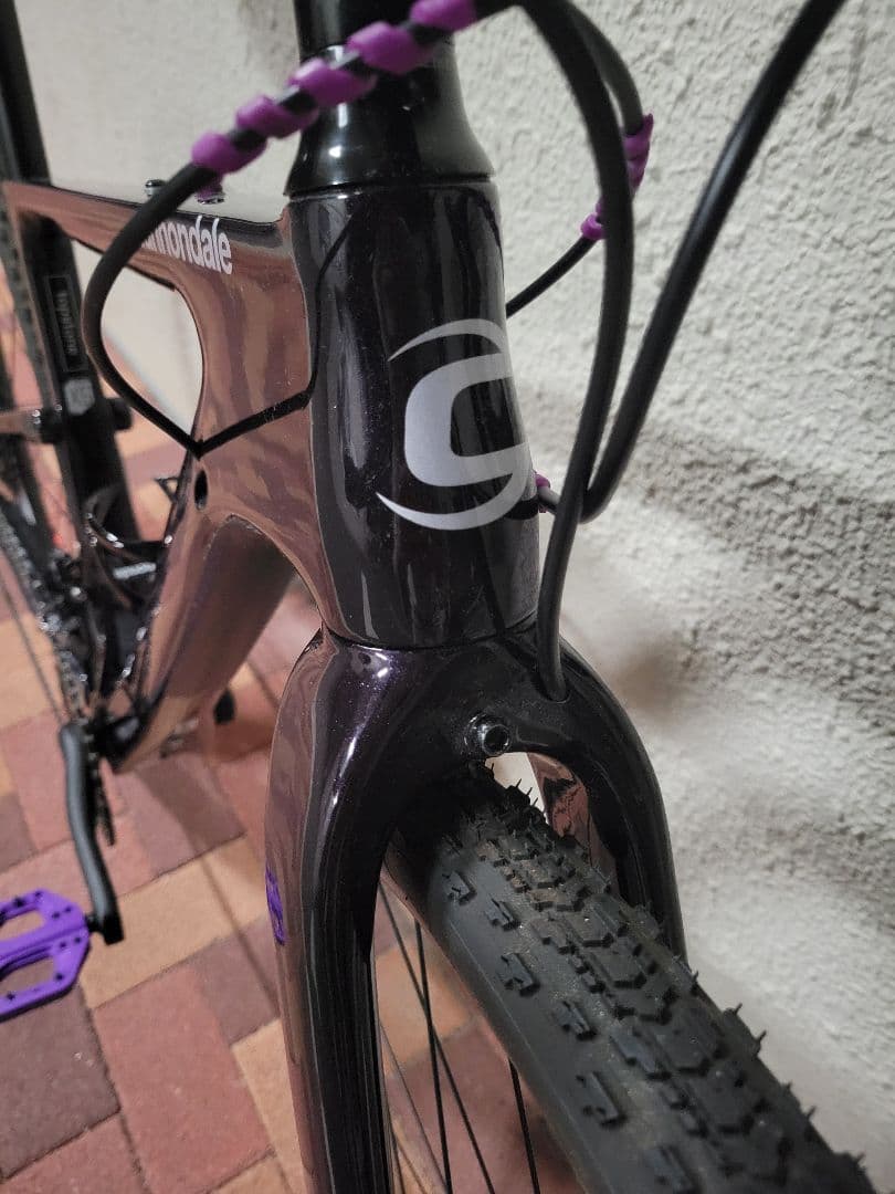 2021 CANNONDALE Topstone Carbon 5 グラベル 2021 CANNONDALE Topstone Carbon 5 グラベル
