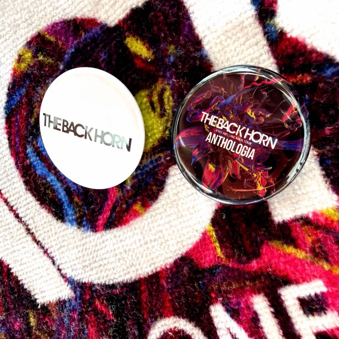 THE BACK HORN ANTHOLOGIA Tシャツ L ブラック 付属有 mdprevattcaulkingandwaterproofing.com