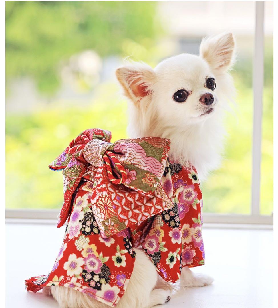 犬用　和服　着物　お祝い着