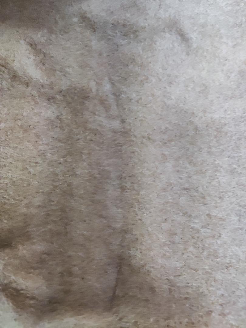 NIKKE 140x200キャメル毛１００％使用