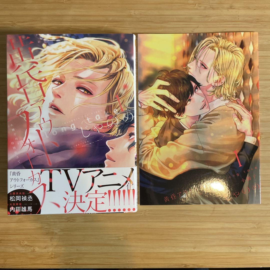 黄昏アウトフォーカスシリーズ