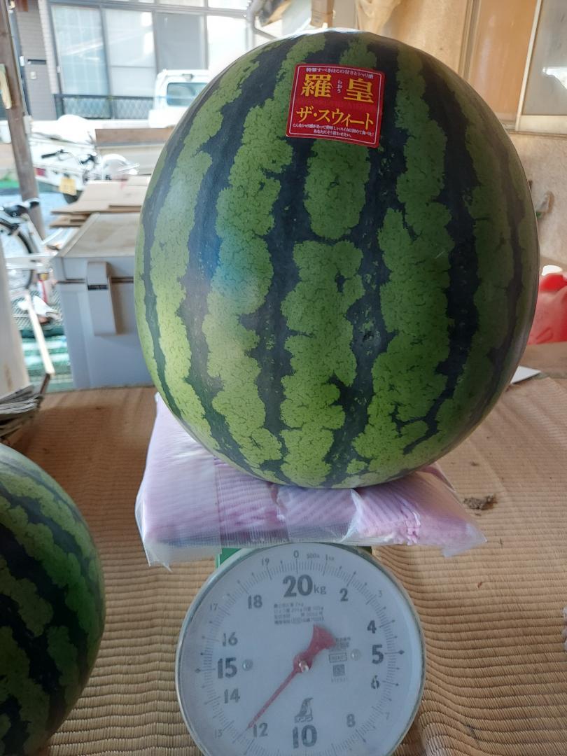 ラ王ザ・スイート スイカ 約12.5kg