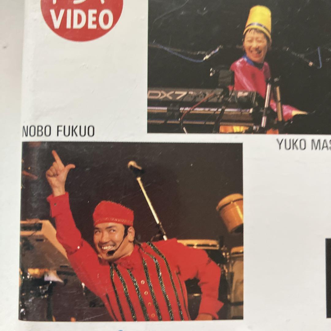 復刻版トラや帽子店 DVD 2枚セット