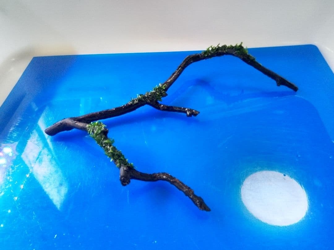 南米ウィローモス　枝流木　アク抜き済み　<1986>