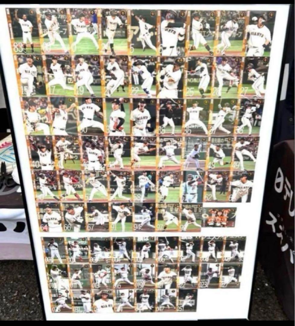 読売ジャイアンツ 2025年　球団配布カード 75枚セット 非売品　カード巨人