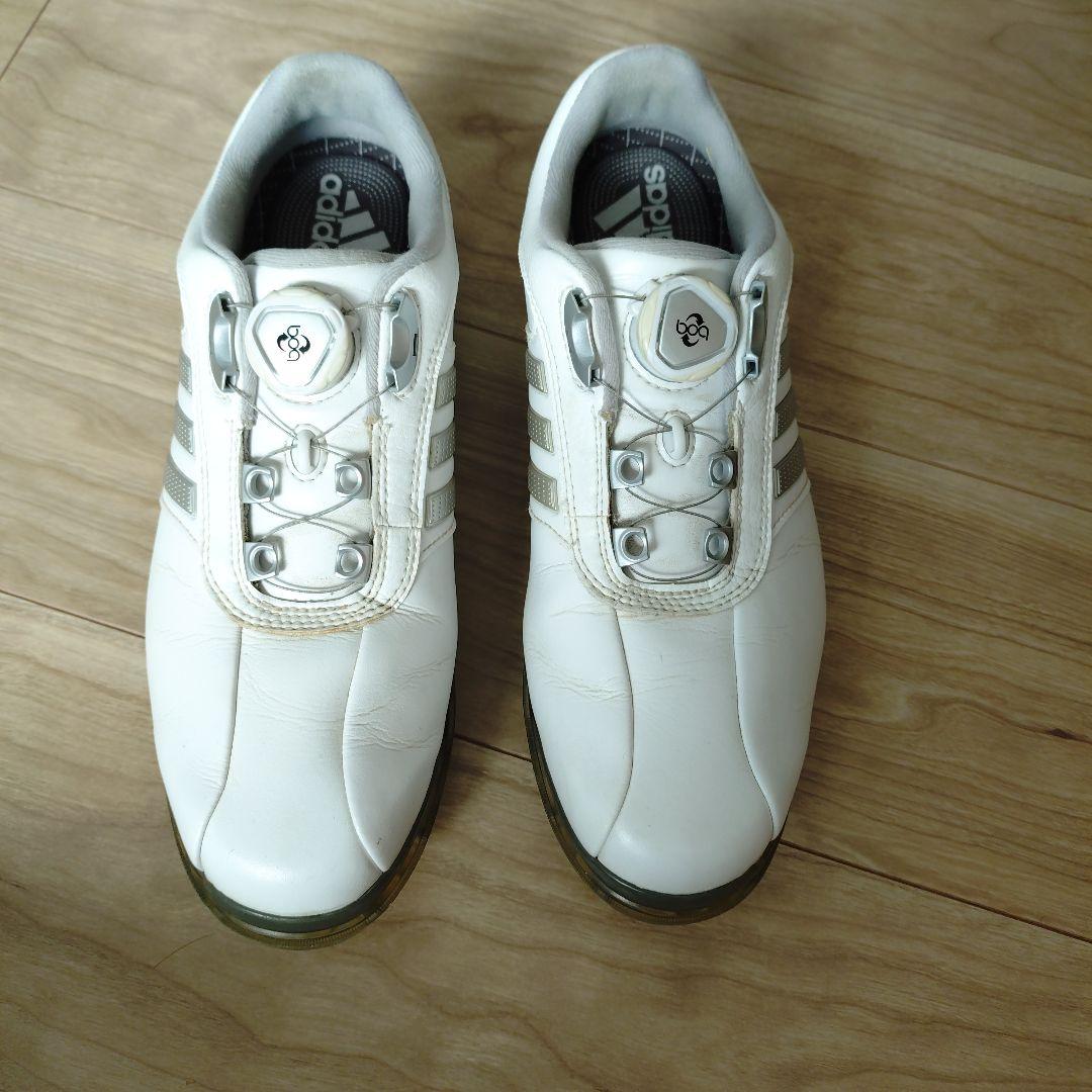 送料無料 百貨店 adidas メルカリ - 24.5cm ダイヤル式 白 メンズゴルフシューズ シューズ(女性用)