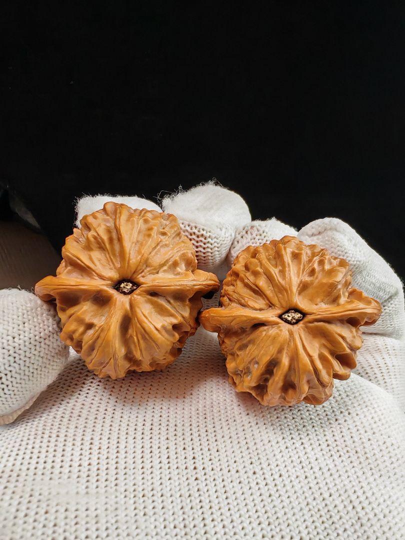 文玩核桃 金牛