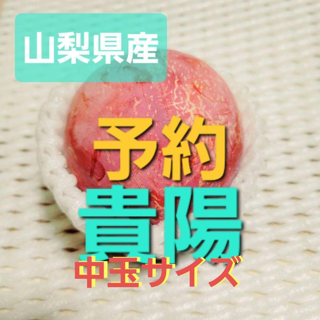 山梨県産 貴陽 中玉