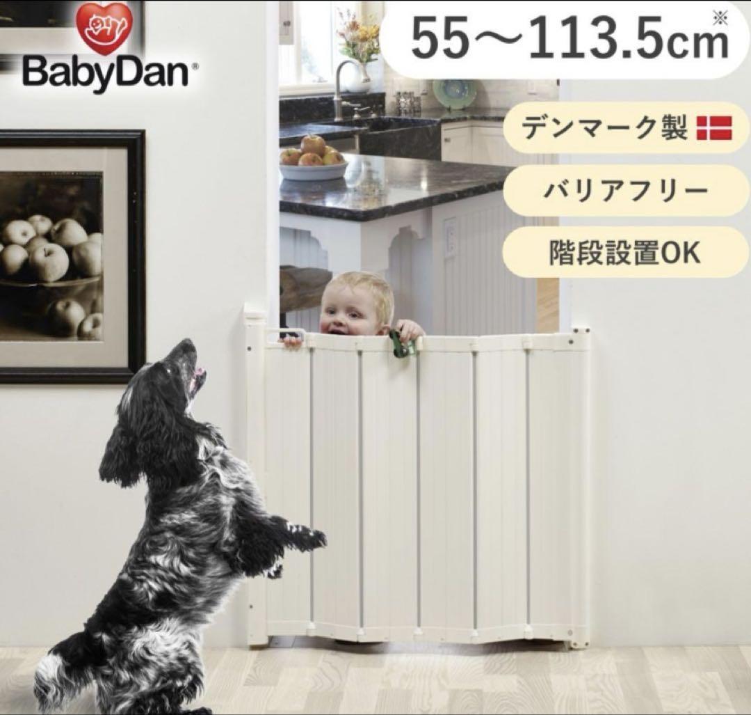 リゼロ　nanacoカード 2種　レム　エミリア　限定　レア　未使用品 nanacoカード エミリア 限定 Re:ゼロから始める異世界生活