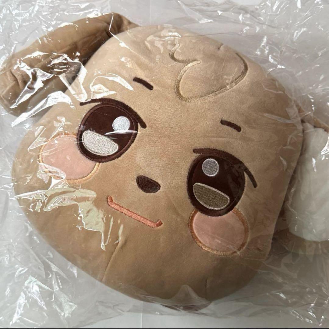 【ユノ】ANITEEZ チュドンイ フェイスクッション Face cushion