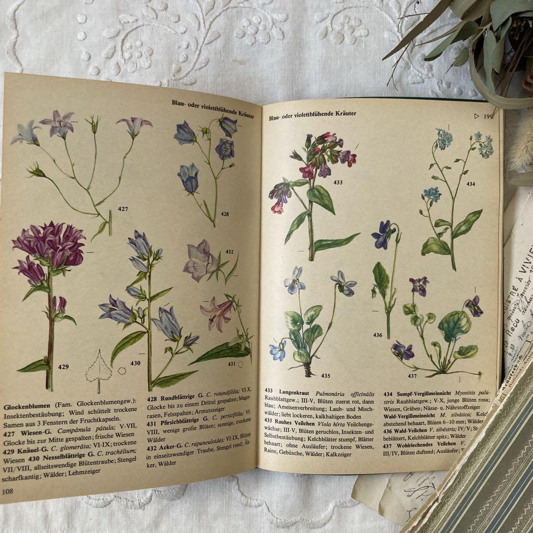 税込) 1916年 オランダの古い絵本 洋書 - 洋書 - 古書 洋書 森の