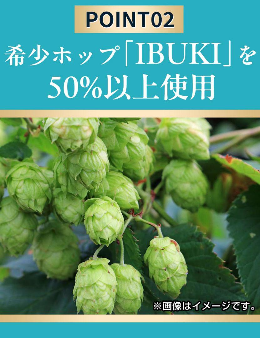 キリン 晴れ風 500ml×24本×2ケース (48本)