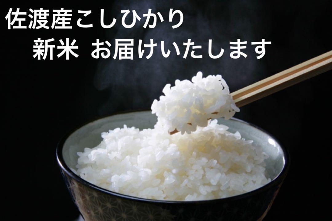 令和6年産　新米　佐渡産コシヒカリ　30kg 玄米　５割減減特別栽培米