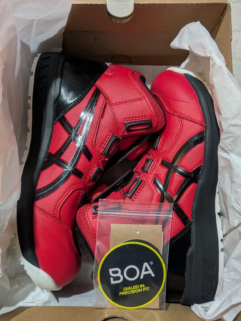 CP304