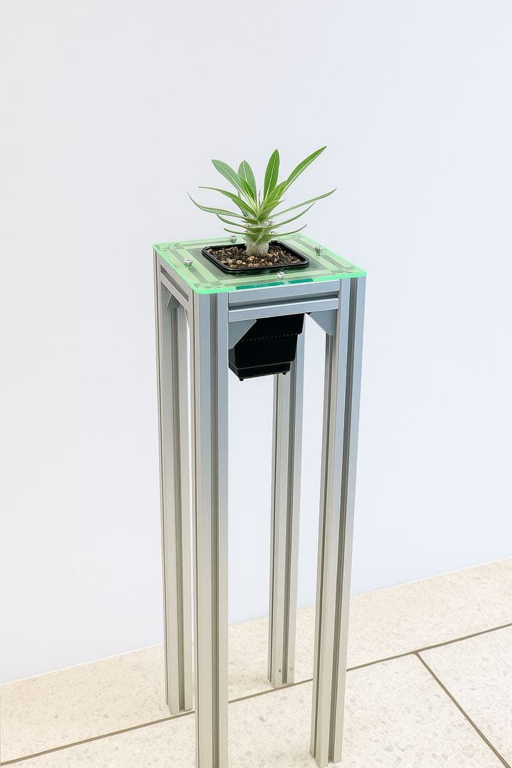 プラントスタンド やや傷や汚れあり