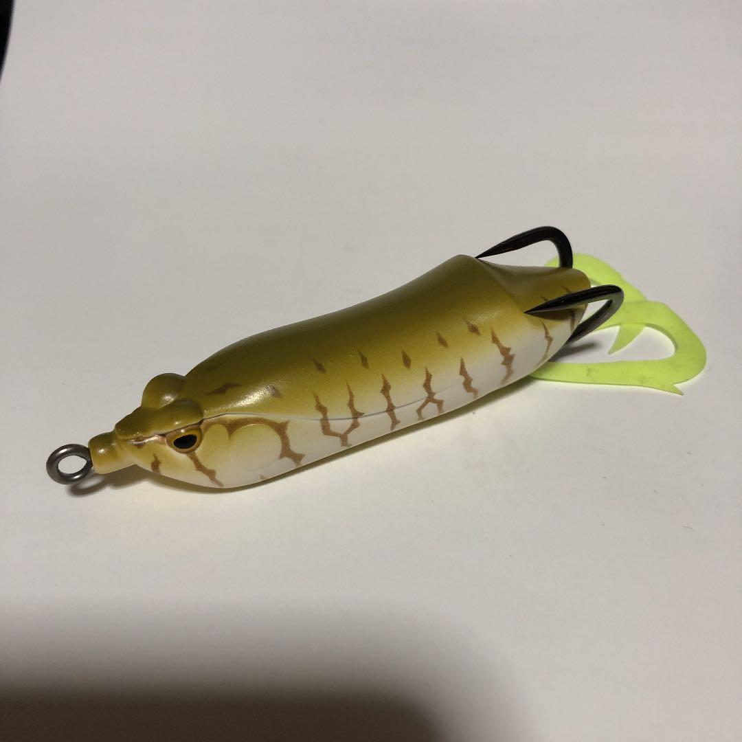 心に強く訴える雷魚 フロッグ 魚のすべて 心に強く訴える雷魚 フロッグ 魚のすべて