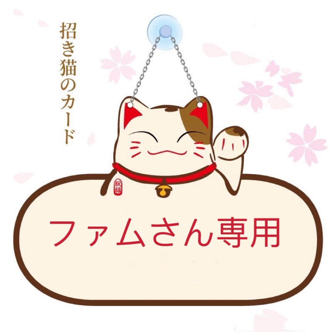 ファムさん専用