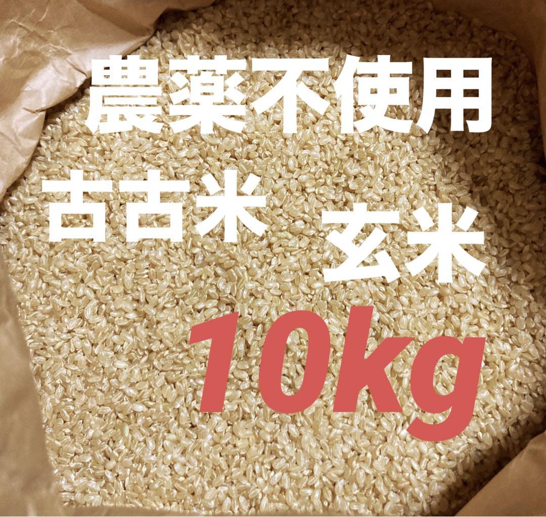 令和3年度 奈良県産 ヒノヒカリ 農薬不使用 古古米 10kg - メルカリ