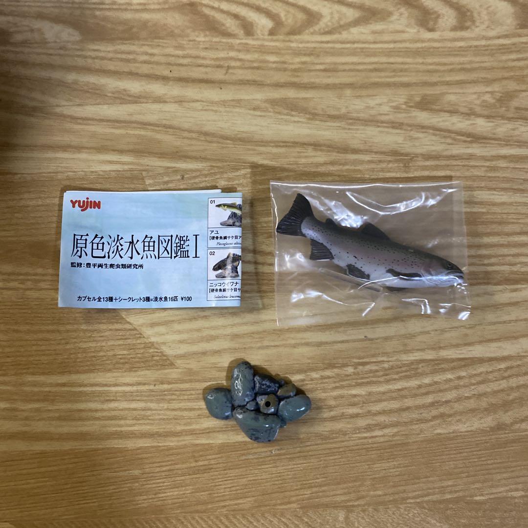 【未使用】YUJIN 原色淡水魚図鑑Ⅰ 16種