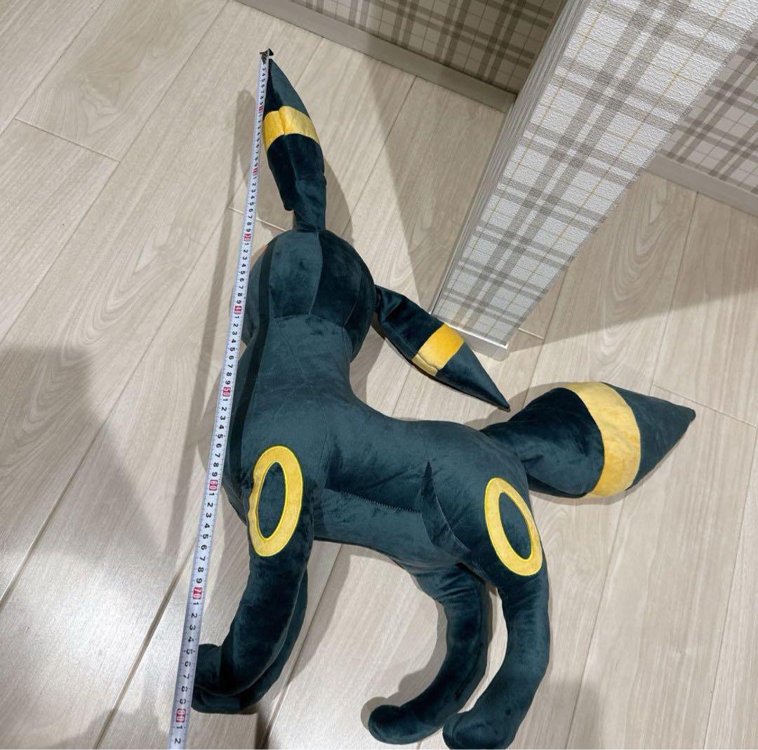 80cm