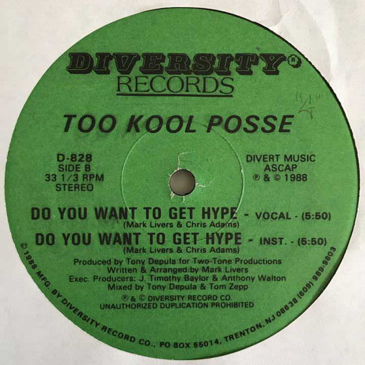 Too Kool Posse - Give 'Em A Sample 激レア自主