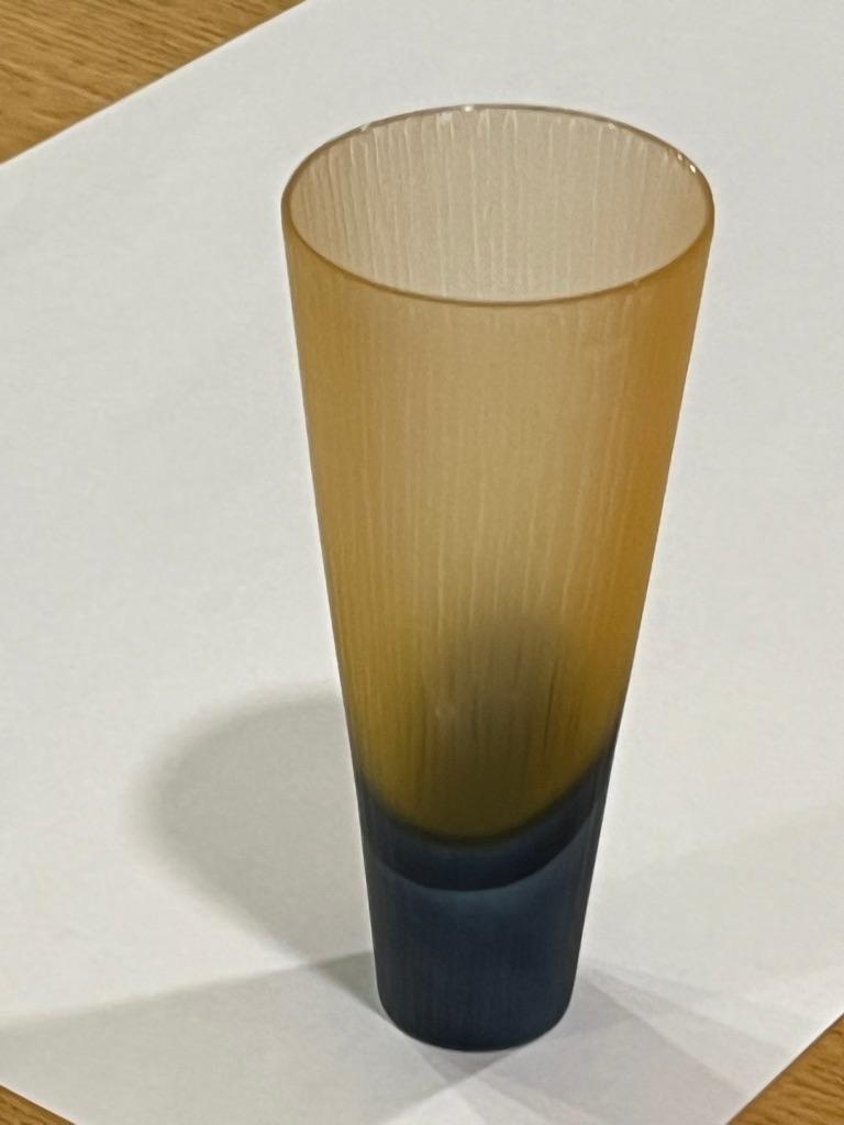 光井 威善 silence glass