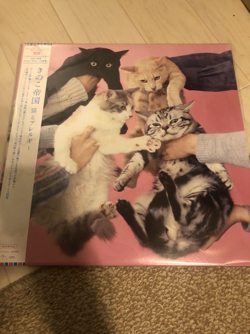 きのこ帝国 / LP レコード