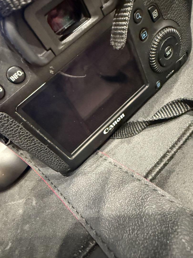 canon 6D 24-105mm usm EF 50mm STM Lレンズ