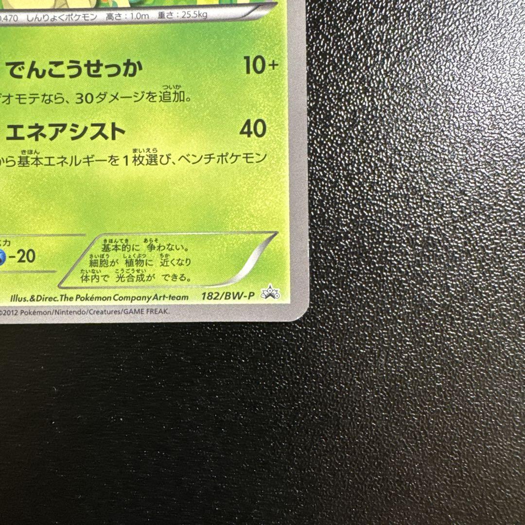 リーフィア PROMO BW-Pプロモカード 182/BW-P 美品