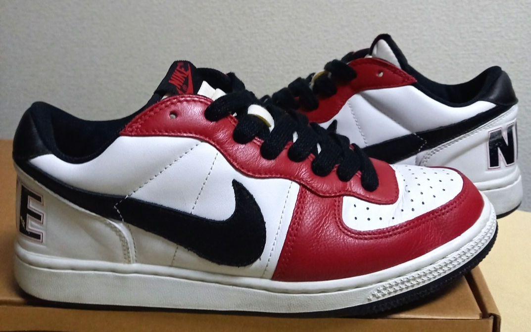 NIKE TERMINATOR LOW シカゴ靴