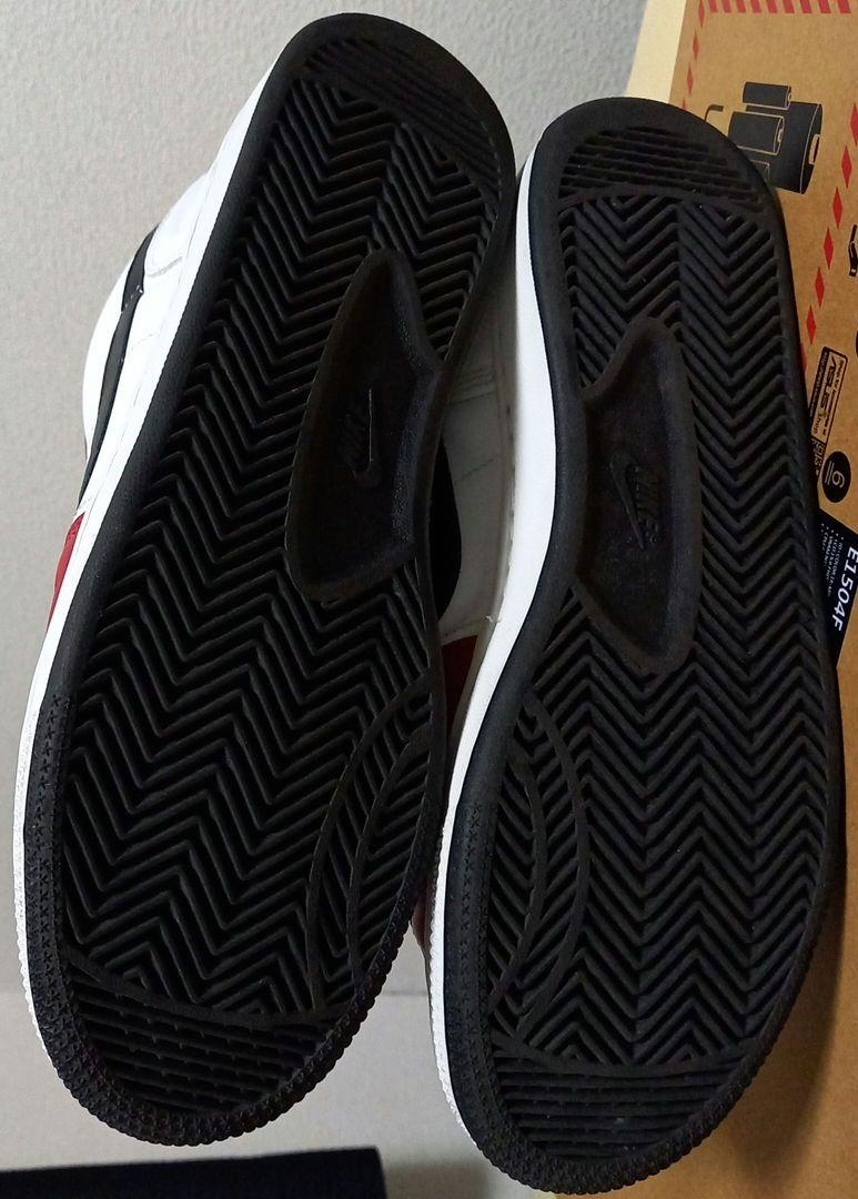 NIKE TERMINATOR LOW シカゴ