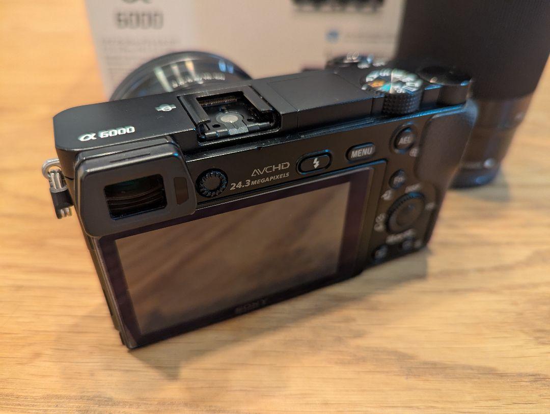 SONY α6000