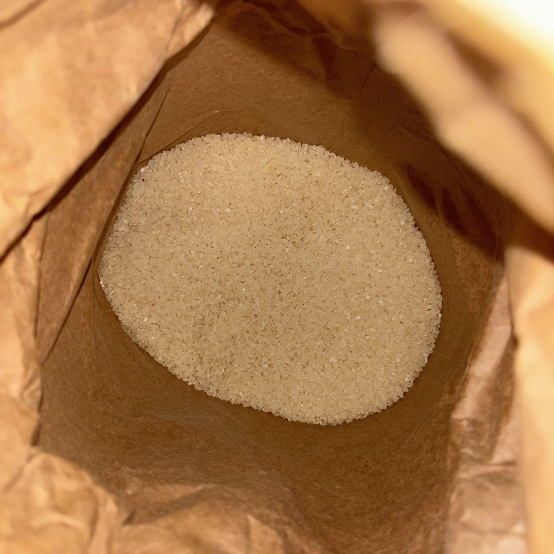 お米10kg