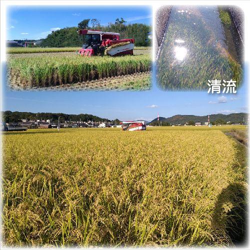 ★さっち様★専用【特別栽培米 朝日】5kg
