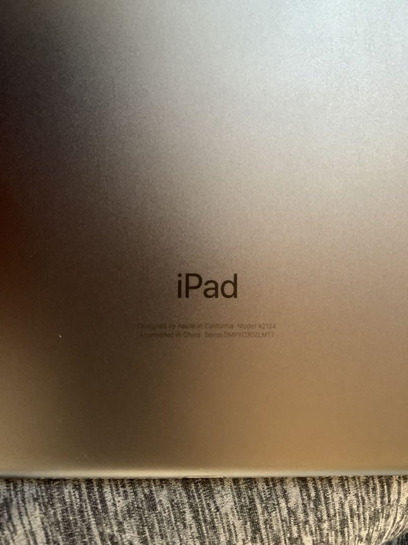 ジャンク扱い】iPad mini 5 スペースグレー 本体＋充電器 - メルカリ