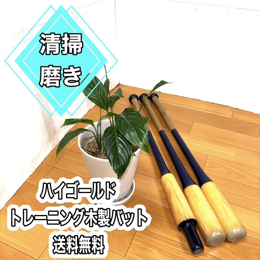【送料無料】 ハイゴールド トレーニングバット 練習 素振り 3本 清掃・磨き
