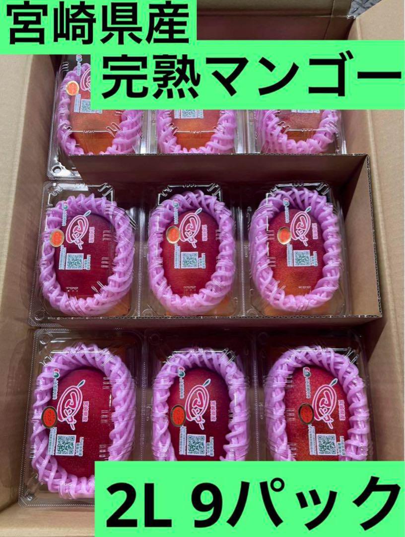 50【宮崎県産】マンゴー　(完熟マンゴー)　 2Lサイズ 9玉入