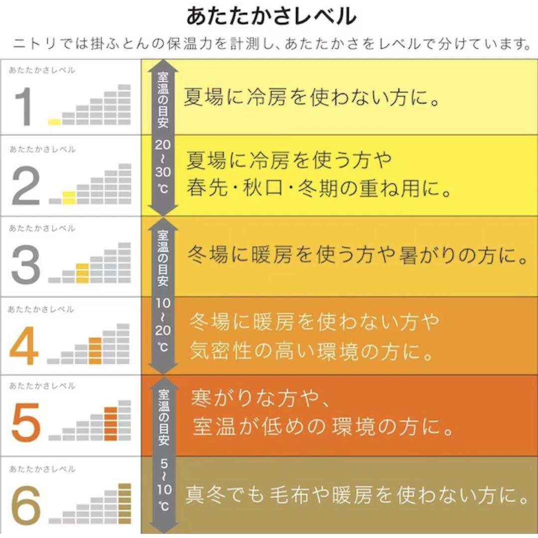 【新品】N-sleep 羽毛掛ふとん ラグジュアリー クイーン