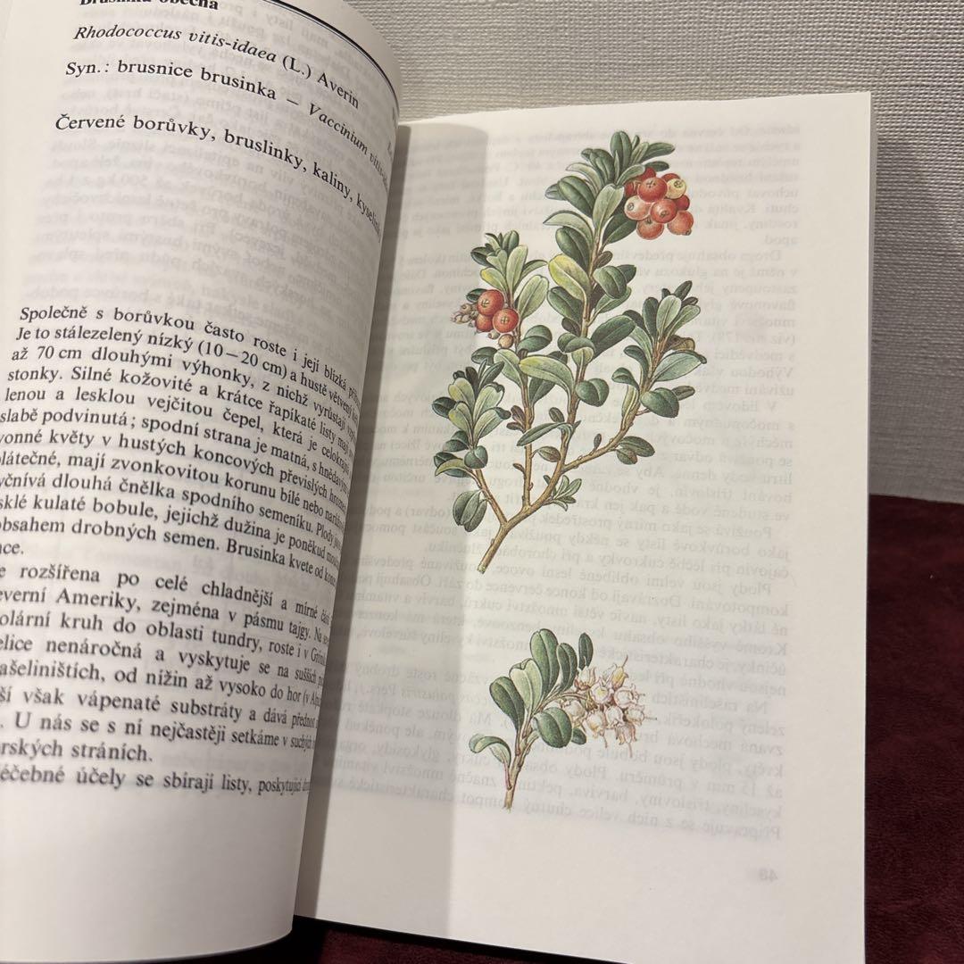 No.874【レア♡＆アンティーク】フランス　カルトナージュ　古書　装丁 ❤️セール78B⑥チェコビンテージ植物図鑑 洋書古書 ボタン