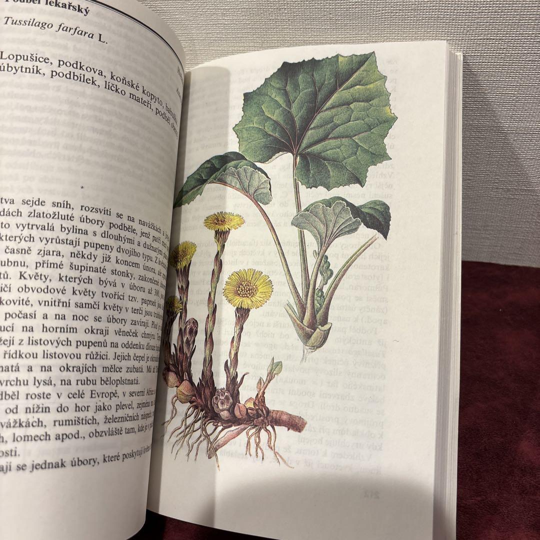 洋書　古書　チェコ語の鉱物図鑑　豊富なカラーイラスト♡　ヴィンテージ 売れ筋アイテムラン 洋書古書チェコ語の鉱物図鑑豊富なカラー