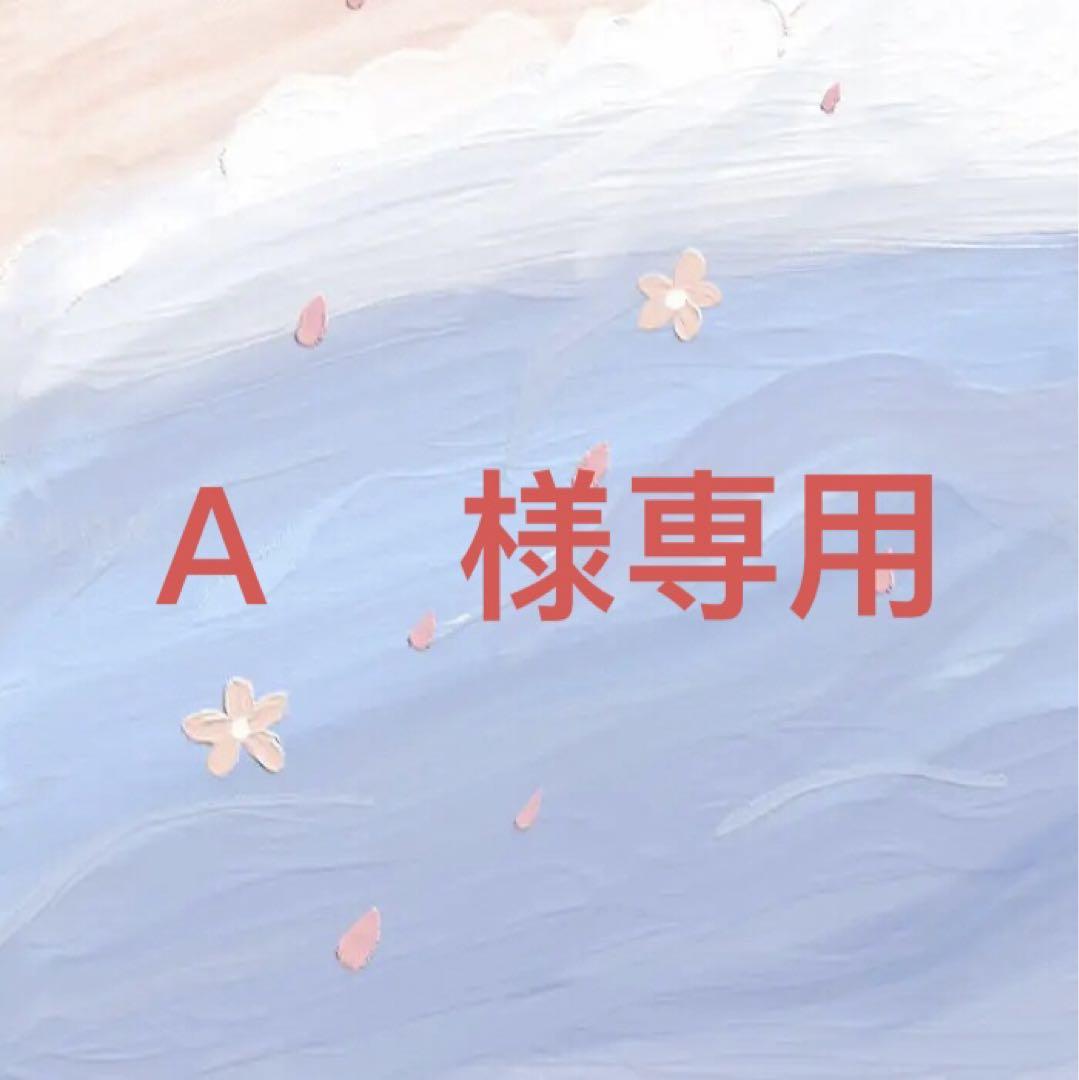 Ａ　様専用