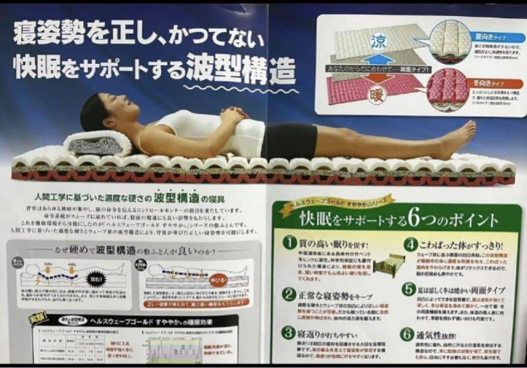 ヘルスウェーブ「デラックス」新品送料込み